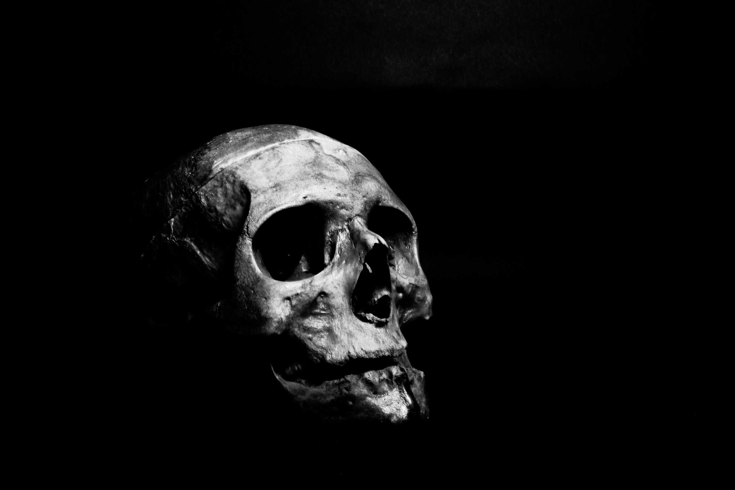 White Skull on a Black Background